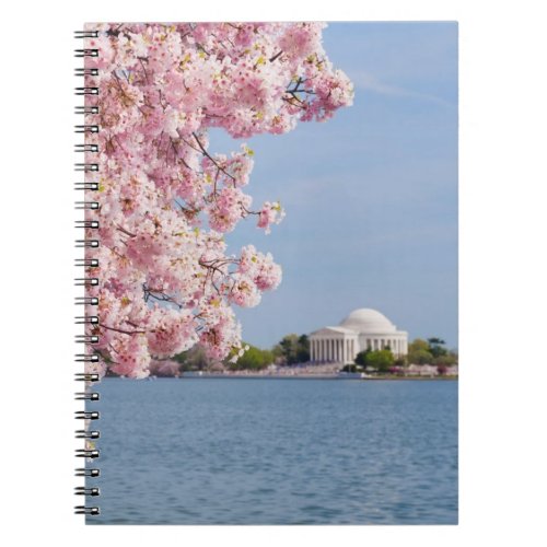 USA Washington DC Cherry tree Notebook