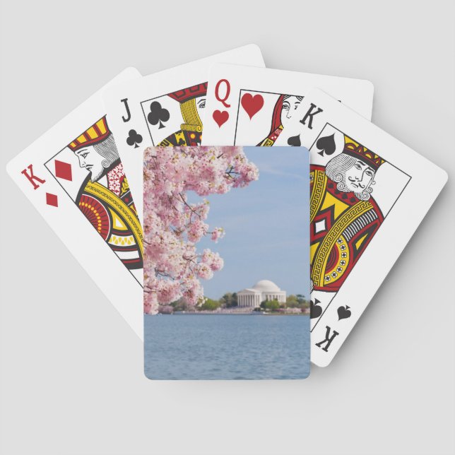 USA, Washington DC, Cherry tree Poker Cards (Back)