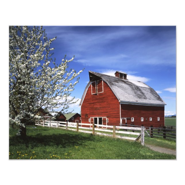 USA, Washington, Ellensburg, Barn Photo Print (Front)