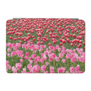 USA, Washington. Field Of Multicolored Tulips iPad Mini Cover