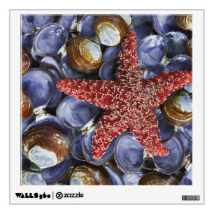 USA, Washington, Hood Canal, Seabeck. Close-up Wall Sticker