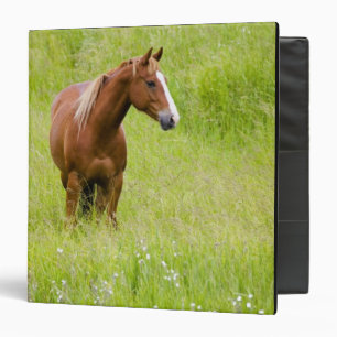 USA, Washington, Horse in Spring Field, 3 Ring Binder