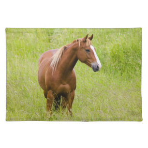 USA, Washington, Horse in Spring Field, Placemat