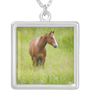 USA, Washington, Horse in Spring Field, Silver Plated Necklace