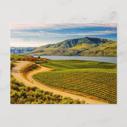USA Washington Lake Chelan Benson Vineyards Postcard