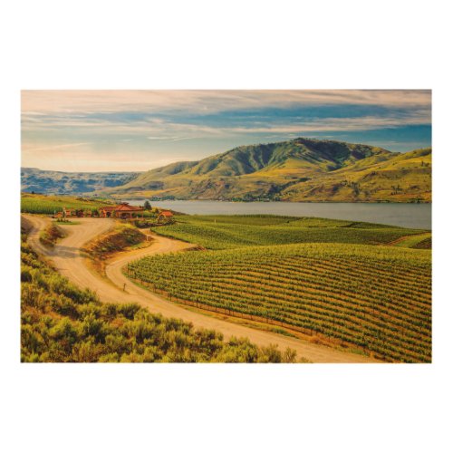 USA Washington Lake Chelan Benson Vineyards Wood Wall Art