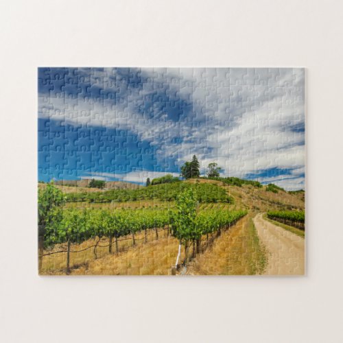 USA Washington Lake Chelan Vineyard 3 Jigsaw Puzzle