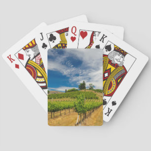 USA, Washington, Lake Chelan. Vineyard 3 Poker Cards