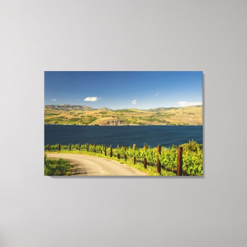 USA Washington Lake Chelan Vineyard Canvas Print