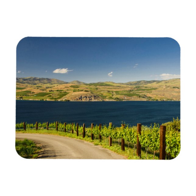 USA, Washington, Lake Chelan. Vineyard Magnet (Horizontal)