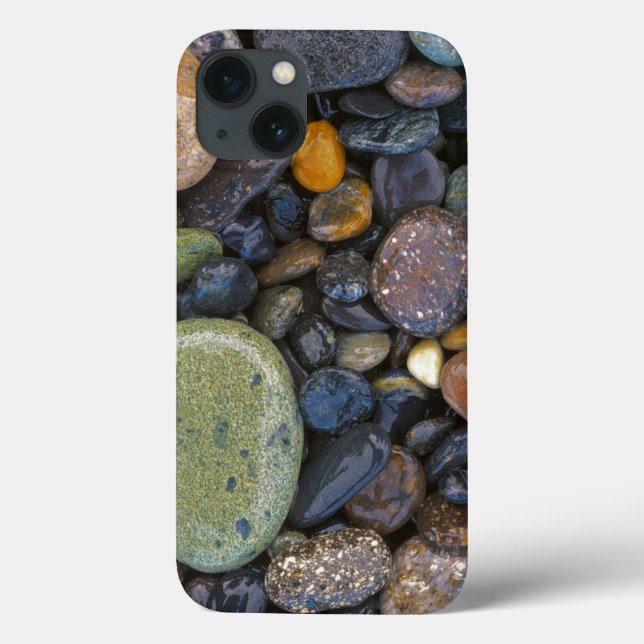 USA, Washington, Lopez Island, Agate Beach Case-Mate iPhone Case (Back)
