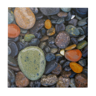 USA, Washington, Lopez Island, Agate Beach Tile