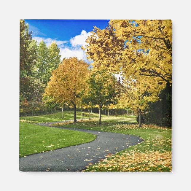 USA, Washington Magnet (Front)