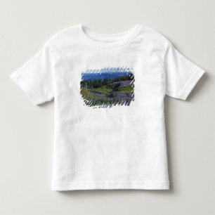 USA, Washington Mt. Adams Wilderness, Meadows Toddler T-shirt