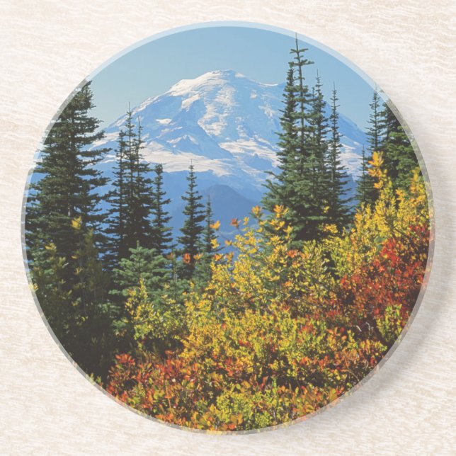USA, Washington, Mt. Rainier National Park 2 Drink Coaster (Front)