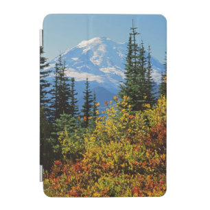 USA, Washington, Mt. Rainier National Park 2 iPad Mini Cover