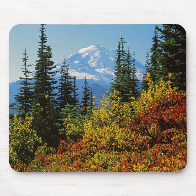 USA, Washington, Mt. Rainier National Park 2 Mouse Pad (Front)