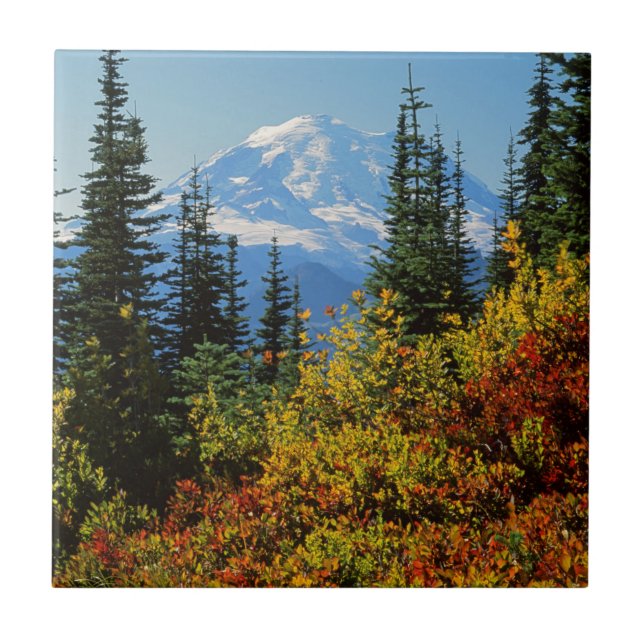 USA, Washington, Mt. Rainier National Park 2 Tile (Front)