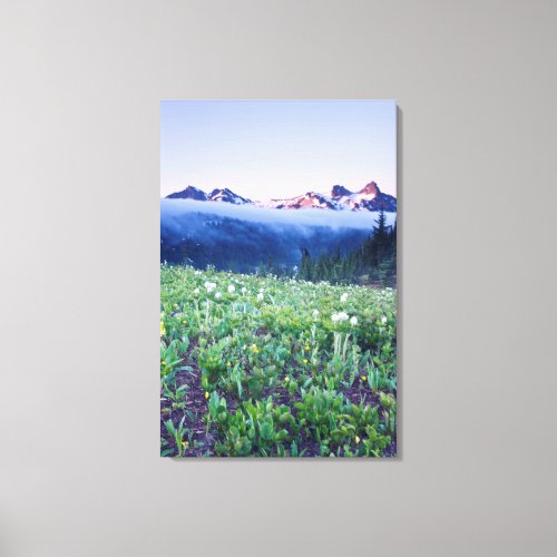 USA Washington Mt Rainier National Park 4 Canvas Print