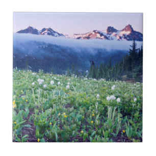 USA, Washington, Mt. Rainier National Park 4 Tile