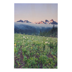 USA, Washington, Mt. Rainier National Park 4 Wood Wall Art