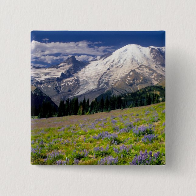 USA, Washington, Mt. Rainier National Park. Button (Front)