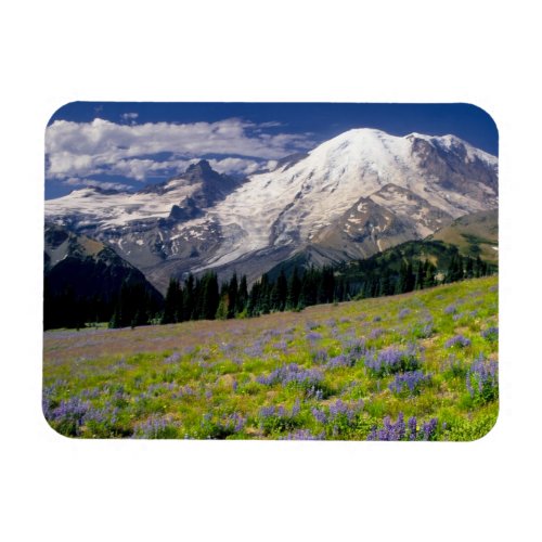 USA Washington Mt Rainier National Park Magnet