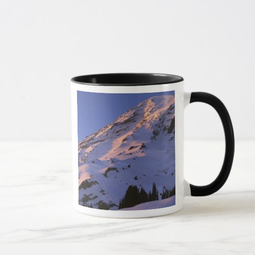 USA Washington Mt Rainier National Park Mug