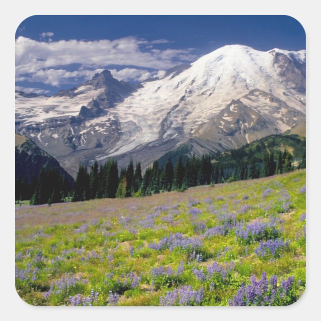 USA, Washington, Mt. Rainier National Park. Square Sticker (Front)