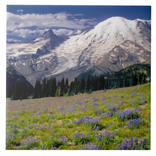 USA, Washington, Mt. Rainier National Park. Tile (Front)