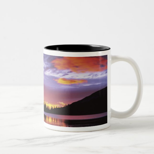 USA, Washington, Mt. Rainier National Park, Two-Tone Coffee Mug (Right)