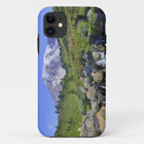USA Washington Mt Rainier NP Mt Rainier and 2 iPhone 11 Case