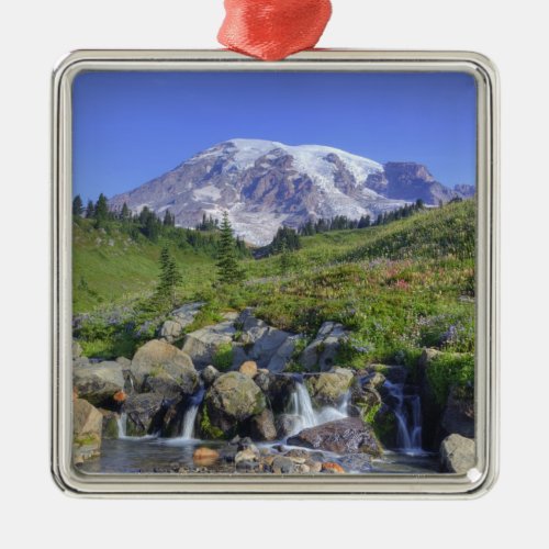 USA Washington Mt Rainier NP Mt Rainier and 2 Metal Ornament