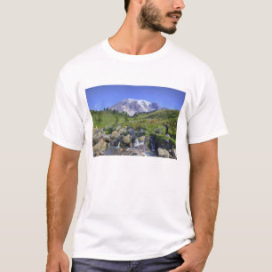 USA, Washington, Mt. Rainier NP, Mt. Rainier and 2 T-Shirt