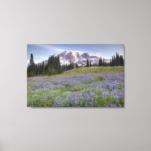 USA, Washington, Mt. Rainier NP, Mt. Rainier and Canvas Print (Front)