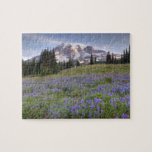 USA Washington Mt Rainier NP Mt Rainier and Jigsaw Puzzle