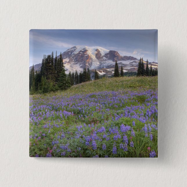 USA, Washington, Mt. Rainier NP, Mt. Rainier and Pinback Button (Front)