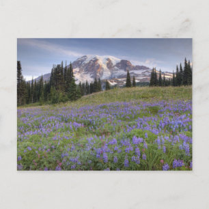 USA, Washington, Mt. Rainier NP, Mt. Rainier and Postcard