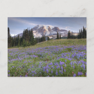 USA, Washington, Mt. Rainier NP, Mt. Rainier and Postcard