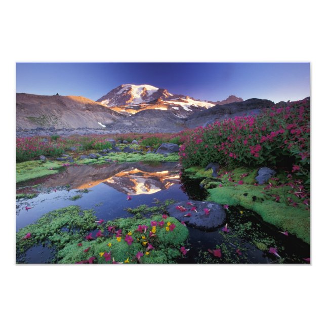 USA, Washington, Mt. Rainier NP, sunrise, Photo Print (Front)