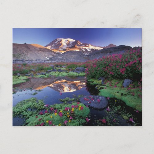 USA Washington Mt Rainier NP sunrise Postcard
