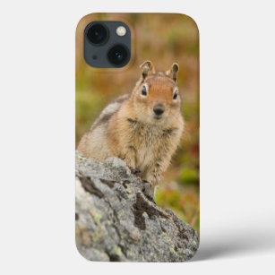 USA, Washington, North Cascades National Park 11 iPhone 13 Case