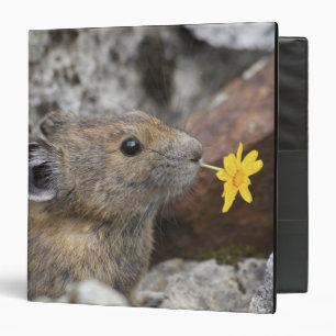 USA, Washington, North Cascades National Park, 3 Ring Binder