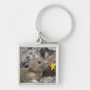 USA, Washington, North Cascades National Park, Keychain