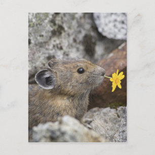 USA, Washington, North Cascades National Park, Postcard