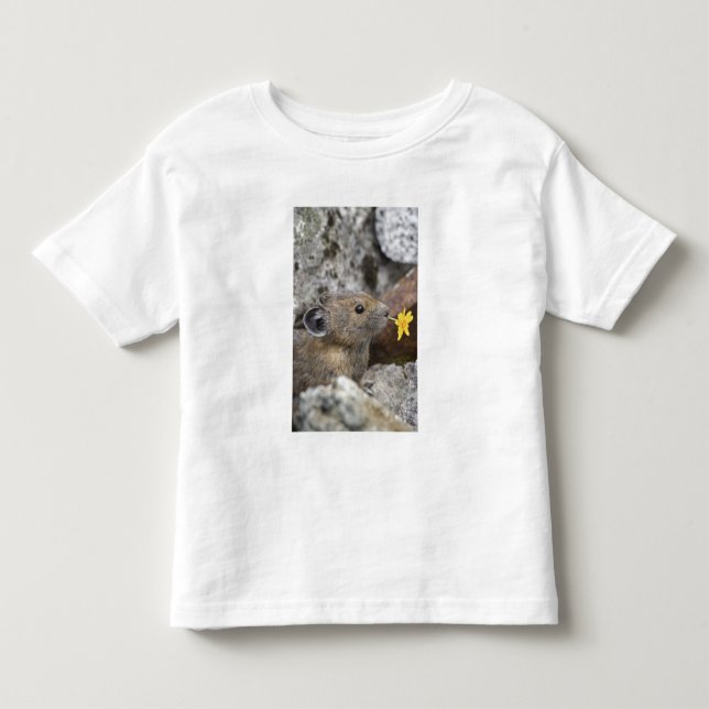 USA, Washington, North Cascades National Park, Toddler T-shirt (Front)