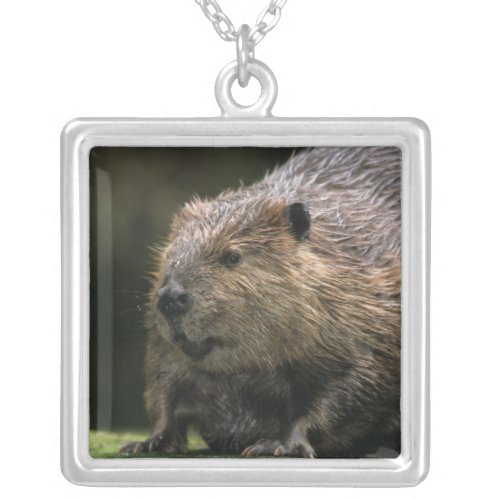 USA Washington Northwest Trek Beaver Silver Plated Necklace