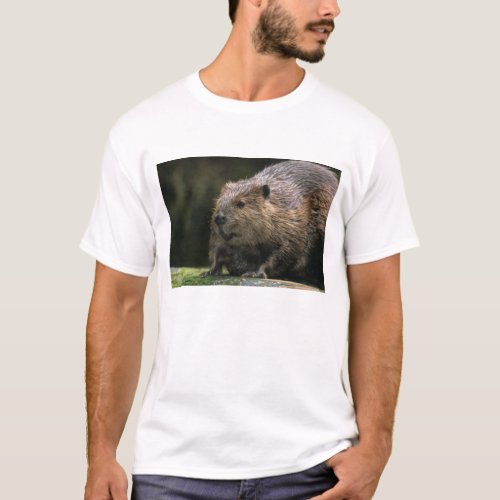 USA Washington Northwest Trek Beaver T_Shirt