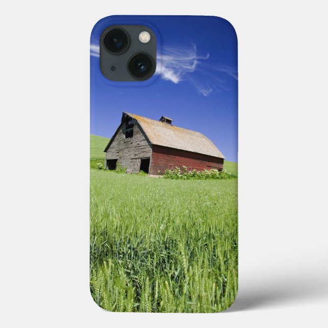 USA, Washington, Old Red Barn in the Spring Case-Mate iPhone Case (Back)