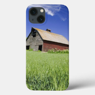 USA, Washington, Old Red Barn in the Spring iPhone 13 Case